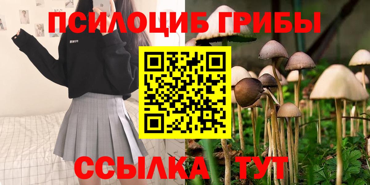 Галлюциногенные грибы мухоморы Лосино-Петровский