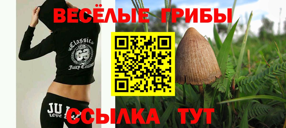 сколько стоит  Галлюциногенные грибы ЛСД  Вход с VPN  Лосино-Петровский  Галлюциногенные грибы Magic Shrooms 
